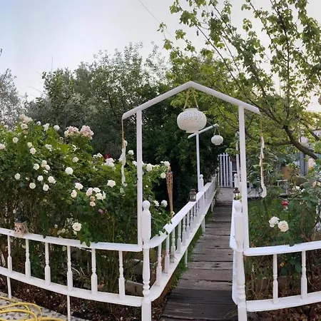 Apartament Royal's Loutra Edipsou (Evia)
