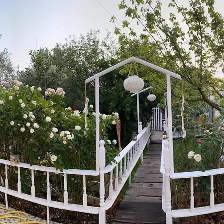 Apartment Royal's Loutra Edipsou (Evia)